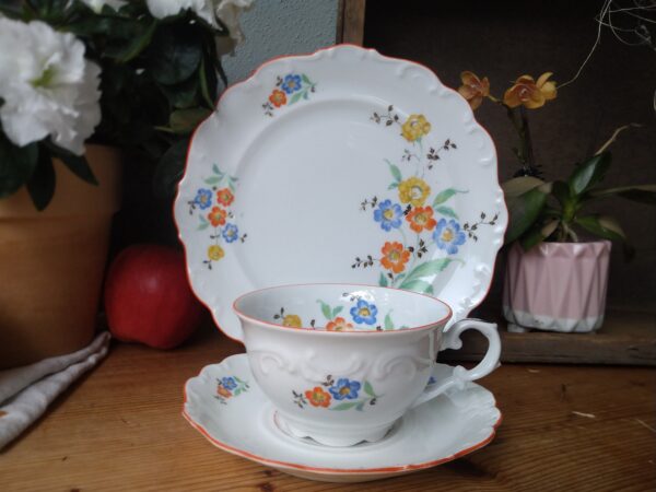 Carl Schumann Sammelgedeck Landhaus romantisch shabby chic Sammeltasse Blumen Tasse Untertasse Kuchenteller