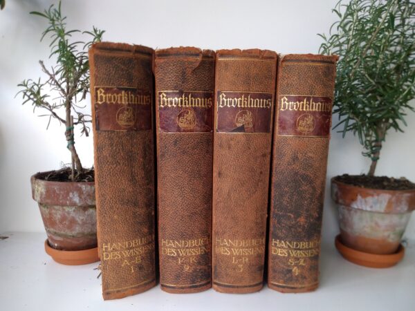 BROCKHAUS Handbuch des Wissens 1925 Leipzig in 4 Bände - komplett - 10000 Abbildungen altdeutsche Schrift gebunden Shabby Chic Deko – Bild 6