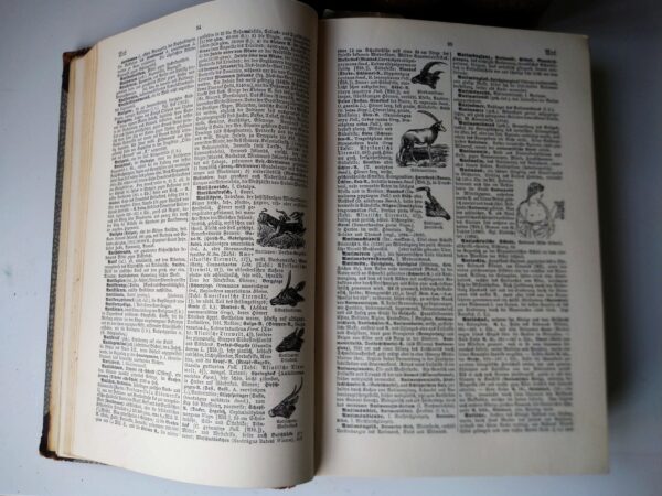 BROCKHAUS Handbuch des Wissens 1925 Leipzig in 4 Bände - komplett - 10000 Abbildungen altdeutsche Schrift gebunden Shabby Chic Deko – Bild 7