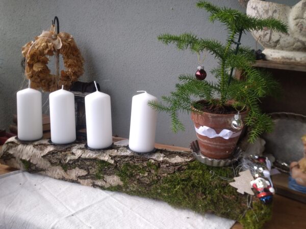 Adventskranz länglich ca 60cm schlicht auf einer Birke mit Araucaria in verwittertem Terrakotta Topf auf antiken Törtchenform – Bild 5