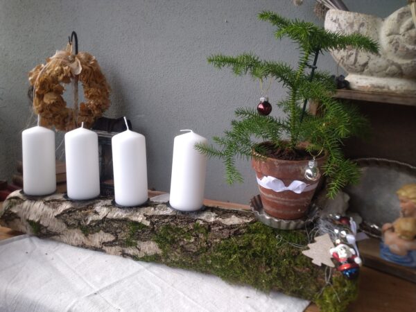 Adventskranz länglich ca 60cm schlicht auf einer Birke mit Araucaria in verwittertem Terrakotta Topf auf antiken Törtchenform – Bild 10